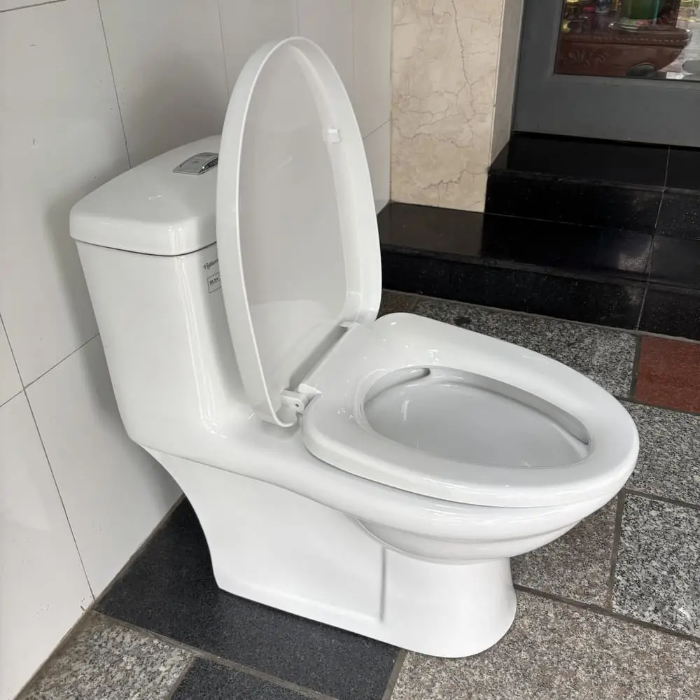 Bồn cầu 1 khối Viglacera BL5V