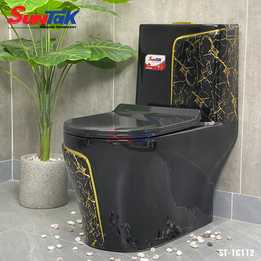 bon cau mau den 1 khoi suntak vien vang st 1c112 6