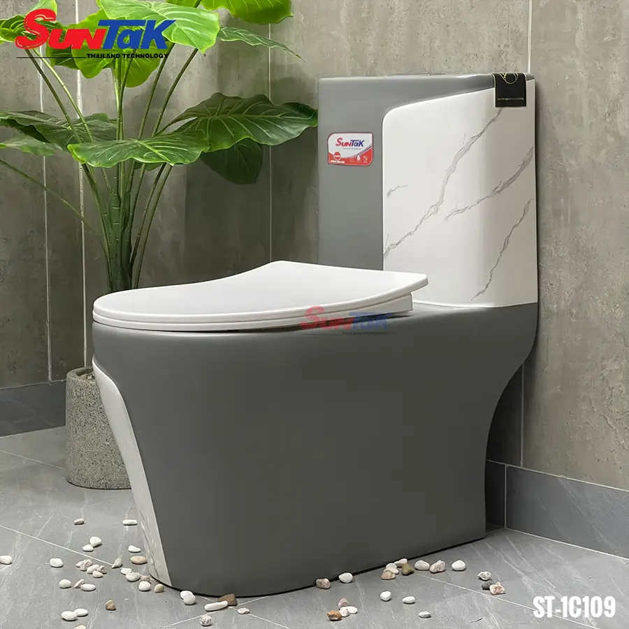 Bồn Cầu Liền Khối Suntak ST-1C109