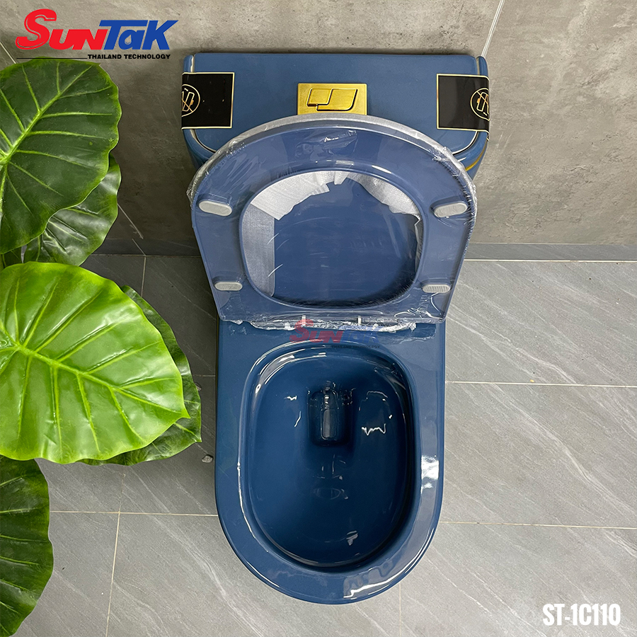 bon-cau-mau-xanh-1-khoi-suntak-vien-vang-st-bc110-kt-700x440x750 (3) bon cau mau xanh 1 khoi suntak vien vang st bc110 kt 700x440x750 3