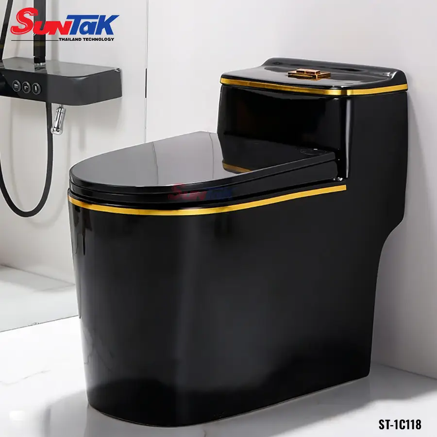 bon-cau-1-khoi-than-lun-den-vien-vang-st-1c118-tang-sit-va-t-cau-inox-304 bon cau 1 khoi than lun den vien vang st 1c118 tang sit va t cau inox 304