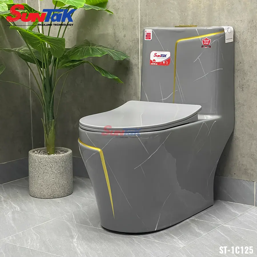 Bồn Cầu 1 Khối Xám Viền Vàng Chỉ Trắng ST-1C125