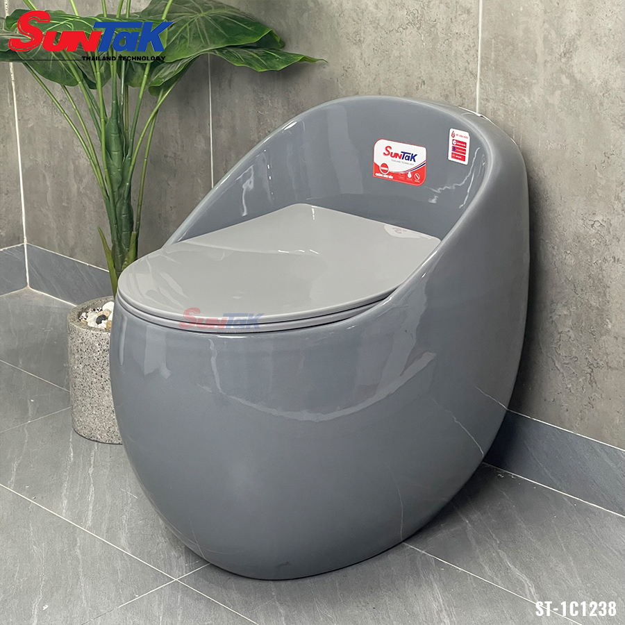 Bồn Cầu Trứng Xám Nắp Rơi Êm Cao Cấp ST-1C238