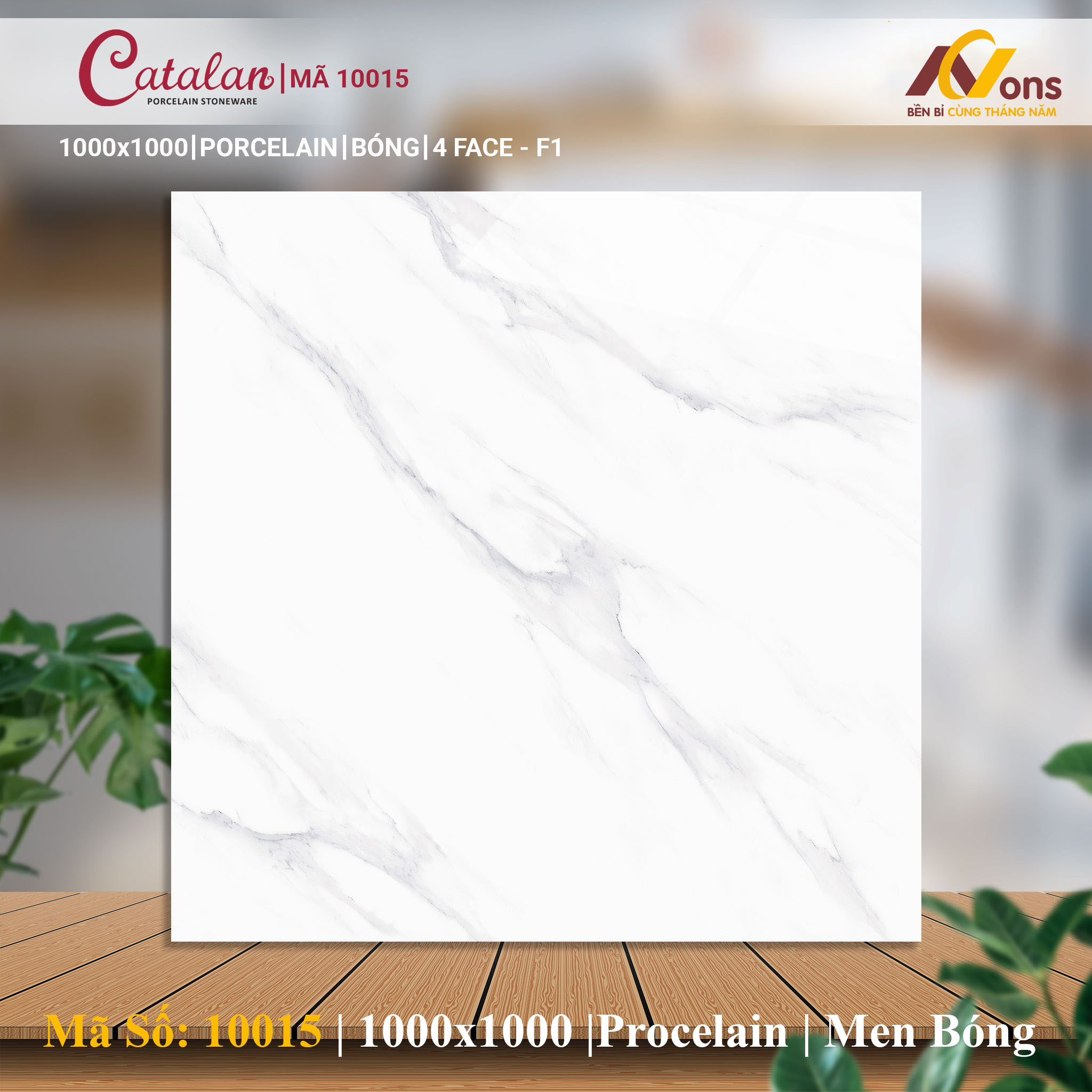Gạch Ốp Lát 100x100 XSmart 10015 (Men Bóng)