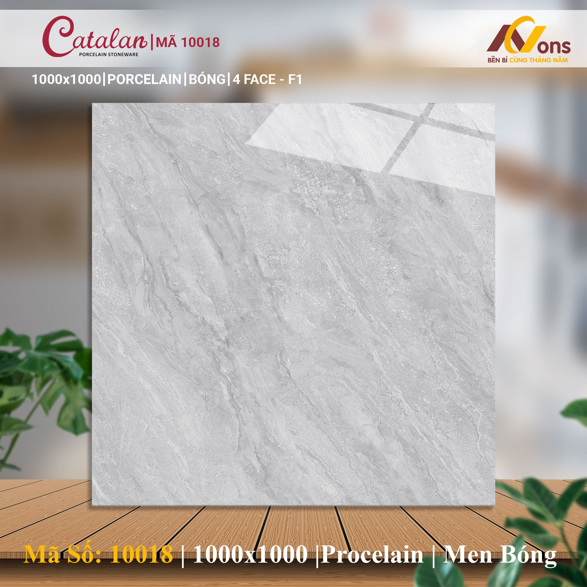 Gạch Ốp Lát 100x100 XSmart 10018 (Men Bóng)