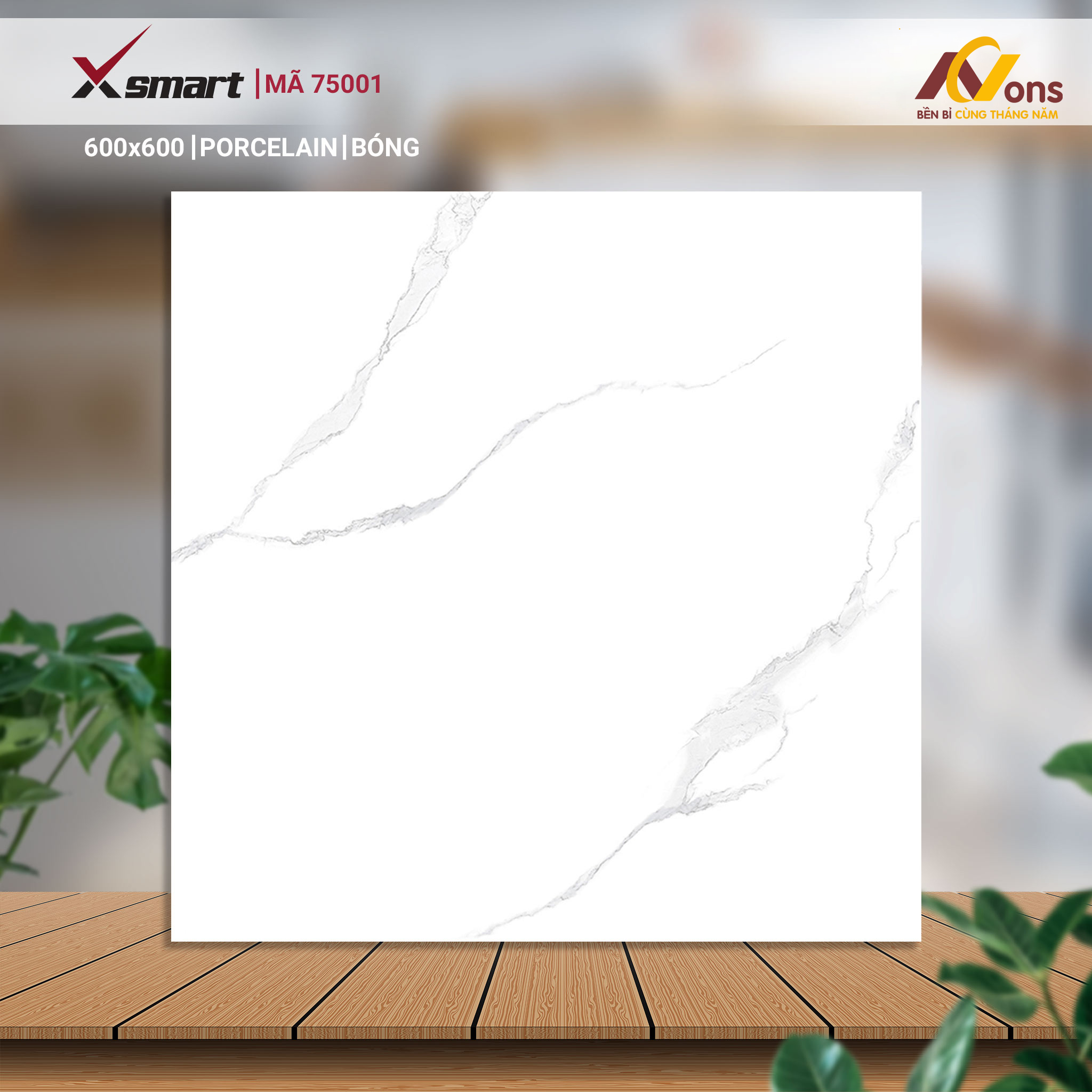 Gạch Ốp Lát 60x60 XSmart 75001 (Men Bóng)