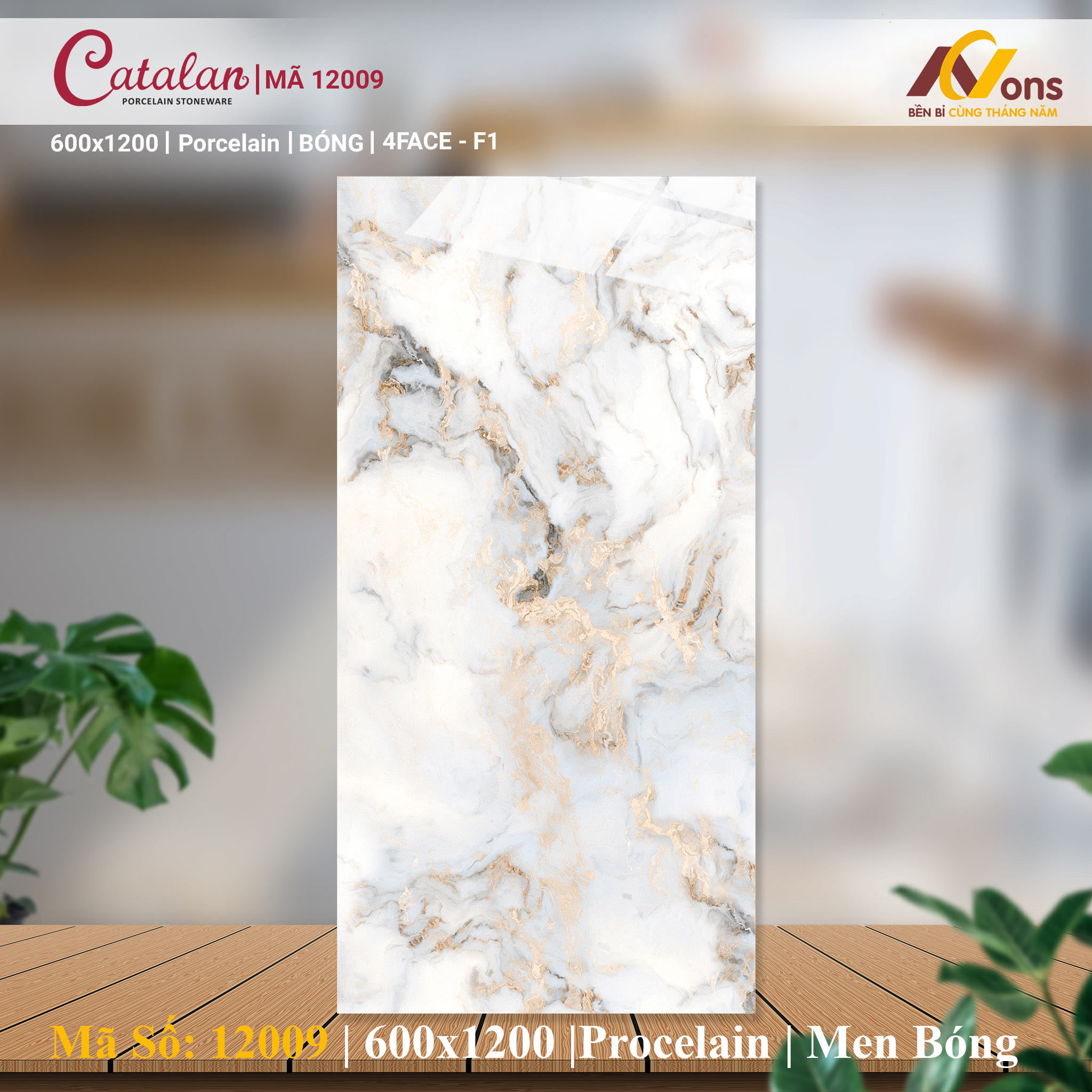Gạch Ốp Lát 60x120 Catalan 12009 (Men Bóng)