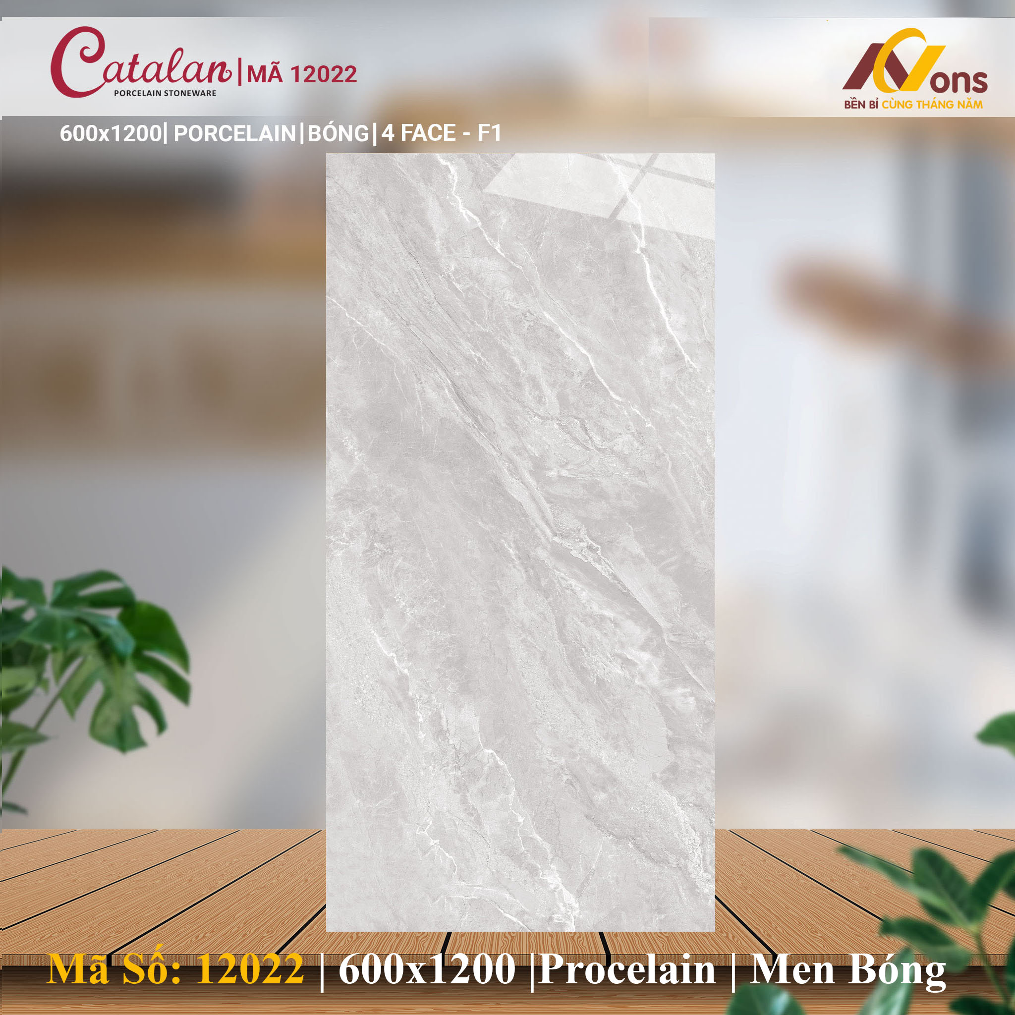 Gạch Ốp Lát 60x120 Catalan 12022 (Men Bóng)