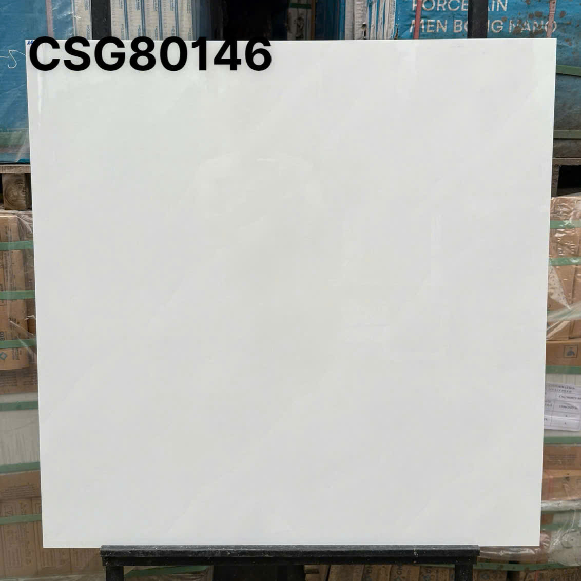CSG8080146 (3) CSG8080146 3